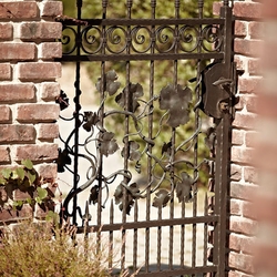 A vine embedded in a wrought iron gate