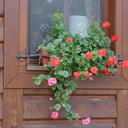 Vintage window ledge with flower pot holders