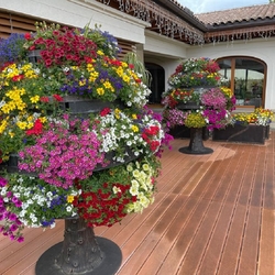 Umelecký záhradný dizajn - kvetináče vykované ako stromy s otáčavými ložiskami